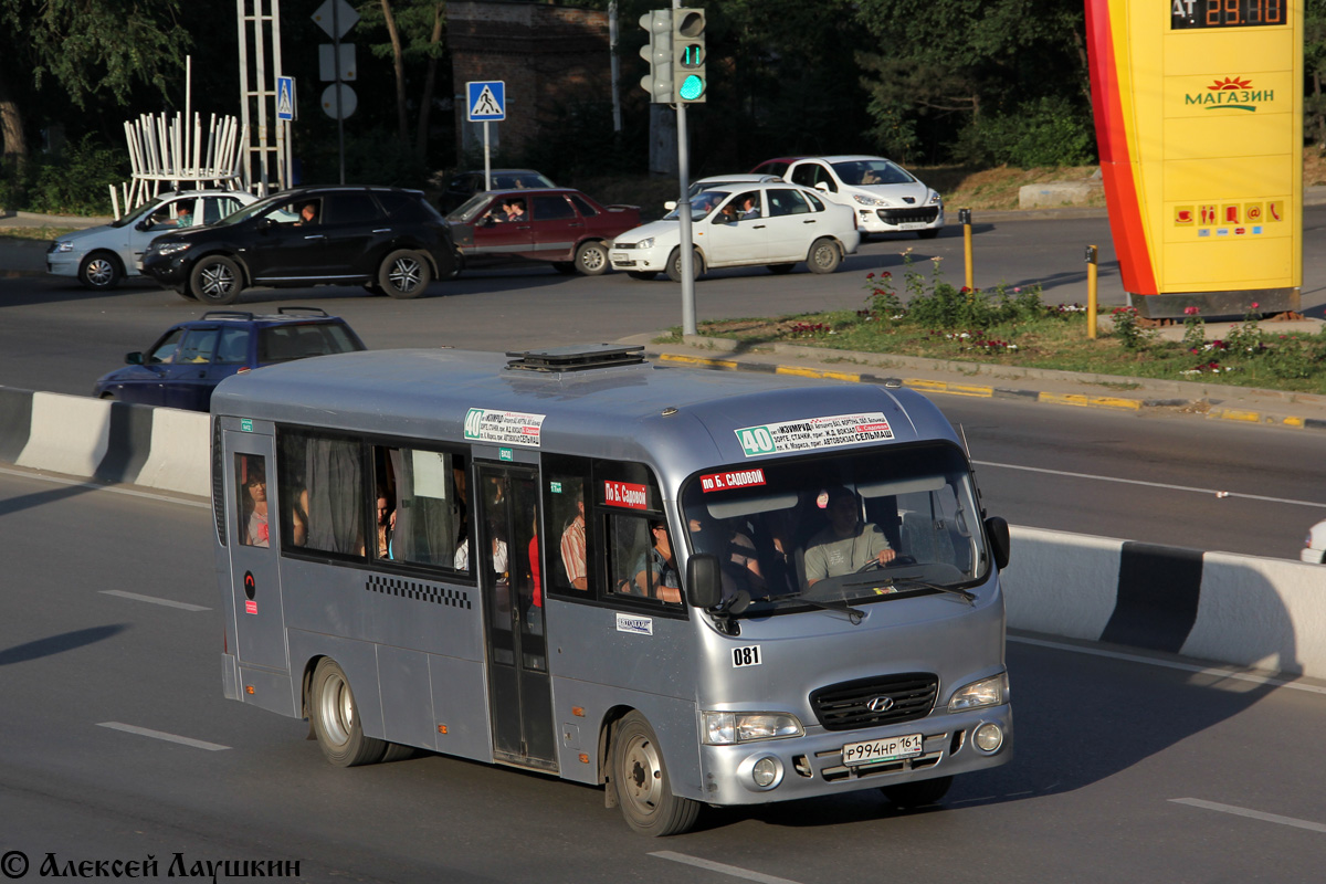 Ростовська область, Hyundai County LWB C09 (ТагАЗ) № 081