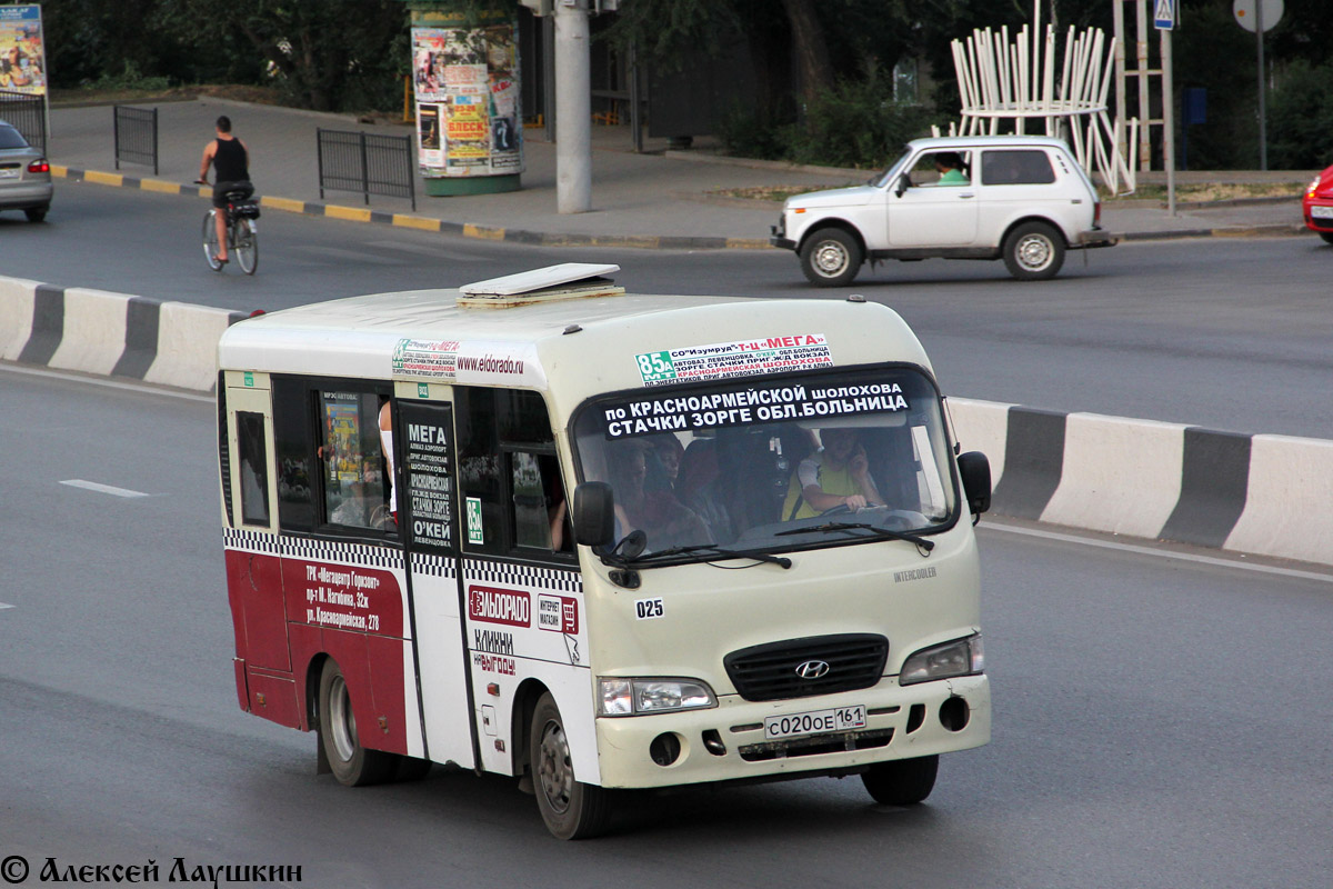 Ростовская область, Hyundai County SWB C08 (РЗГА) № 025