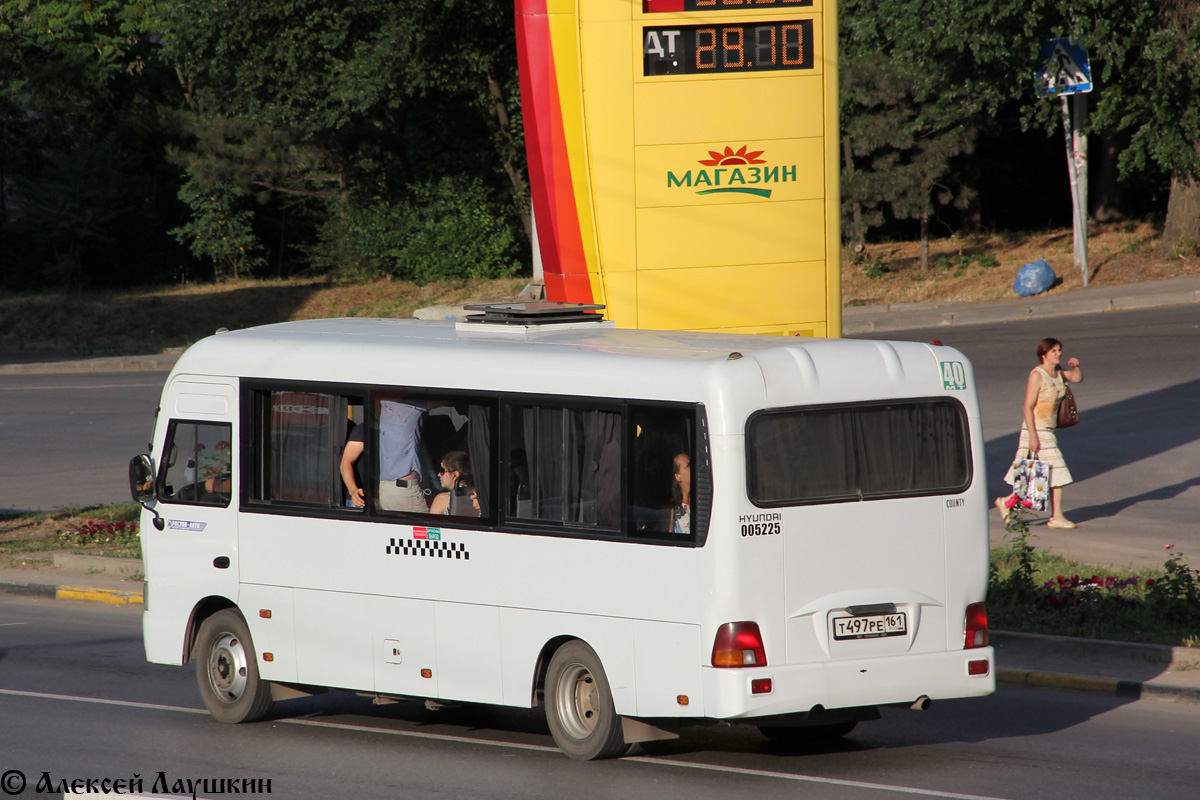 Ростовская область, Hyundai County LWB C09 (ТагАЗ) № 005225