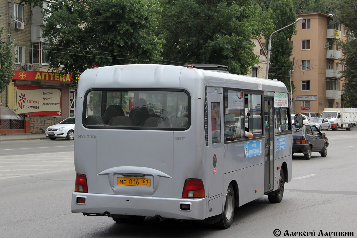 Ростовская область, Hyundai County LWB C11 (ТагАЗ) № МЕ 016 61