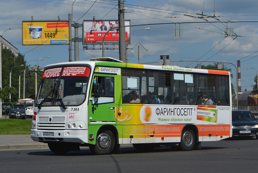 Санкт-Петербург, ПАЗ-320402-05 № n365