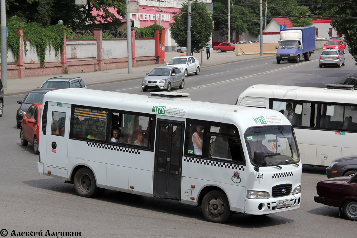 Ростовская область, Hyundai County LWB C11 (ТагАЗ) № 420