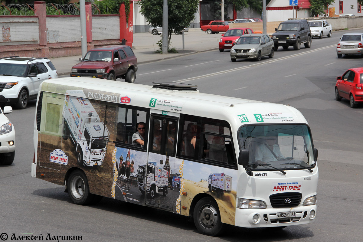 Ростовская область, Hyundai County LWB C09 (ТагАЗ) № 009125