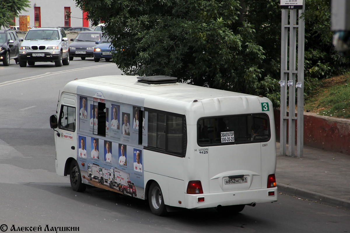 Ростовская область, Hyundai County LWB C09 (ТагАЗ) № 009125