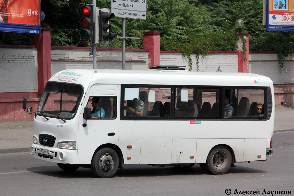 Ростовская область, Hyundai County SWB C08 (ТагАЗ) № В 789 НК 161