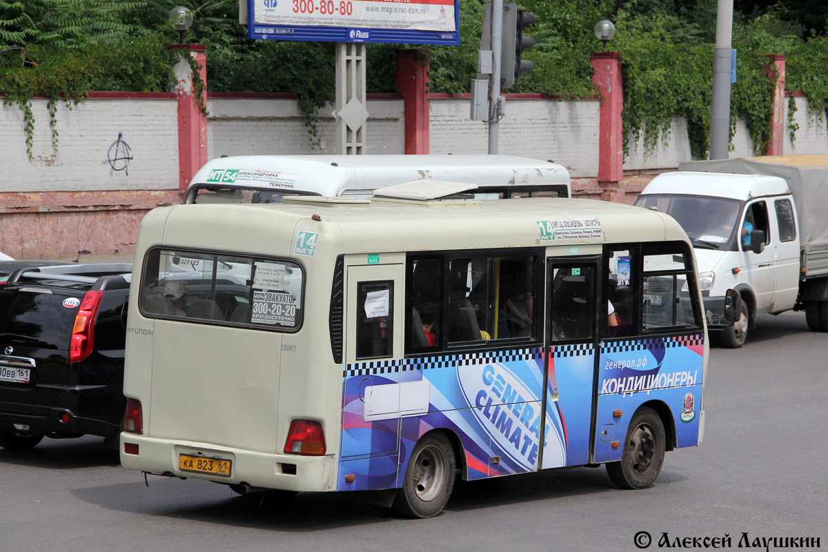 Ростовская область, Hyundai County SWB C08 (РЗГА) № 002049