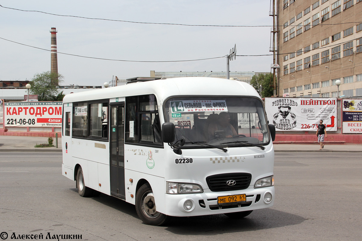 Ростовская область, Hyundai County LWB C09 (ТагАЗ) № 02230