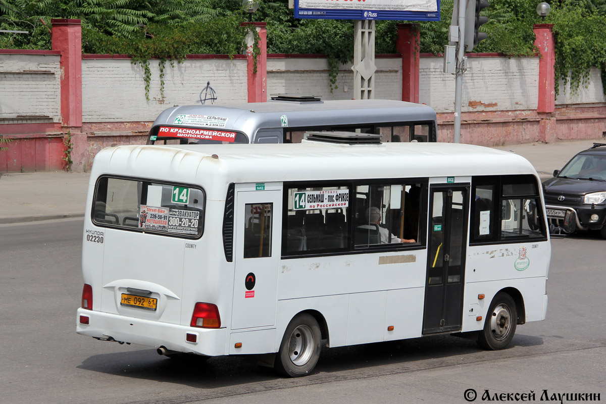 Ростовская область, Hyundai County LWB C09 (ТагАЗ) № 02230