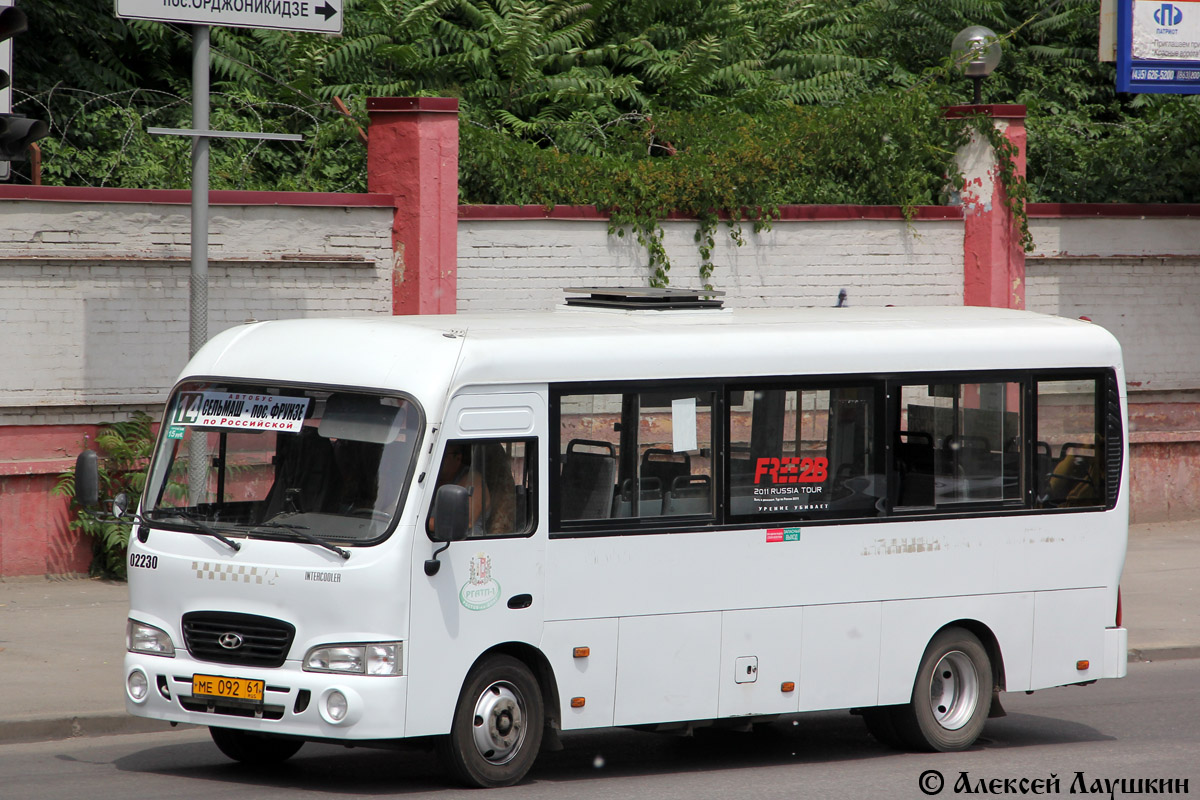 Ростовская область, Hyundai County LWB C09 (ТагАЗ) № 02230