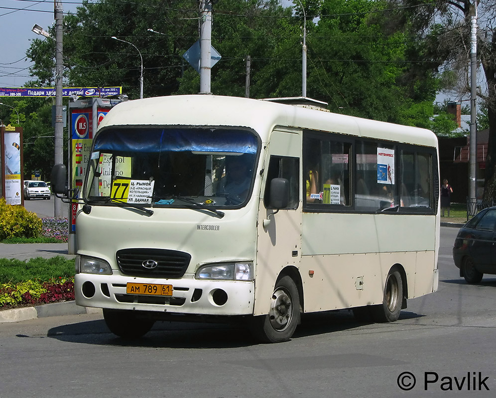 Ростовская область, Hyundai County SWB C08 (РЗГА) № 38