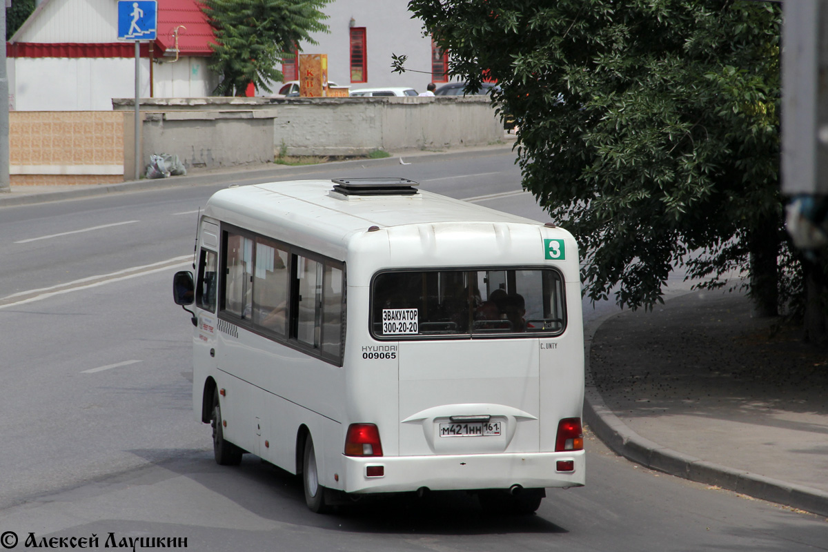 Ростовская область, Hyundai County LWB C09 (ТагАЗ) № 009065