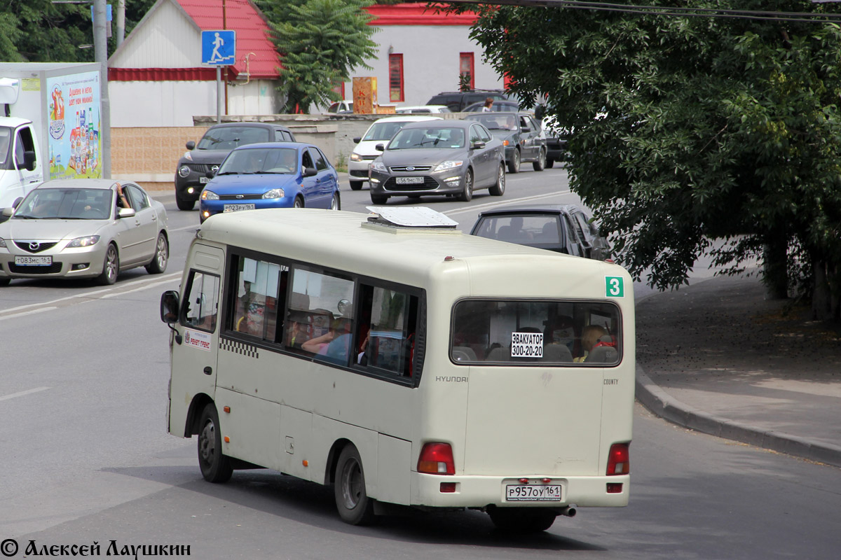 Ростовская область, Hyundai County SWB C08 (РЗГА) № 009114