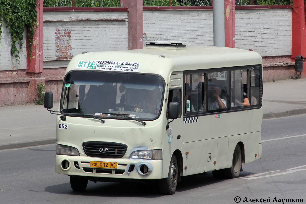 Ростовская область, Hyundai County LWB C11 (ТагАЗ) № 052