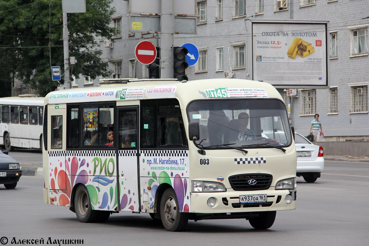 Ростовская область, Hyundai County SWB C08 (РЗГА) № 003