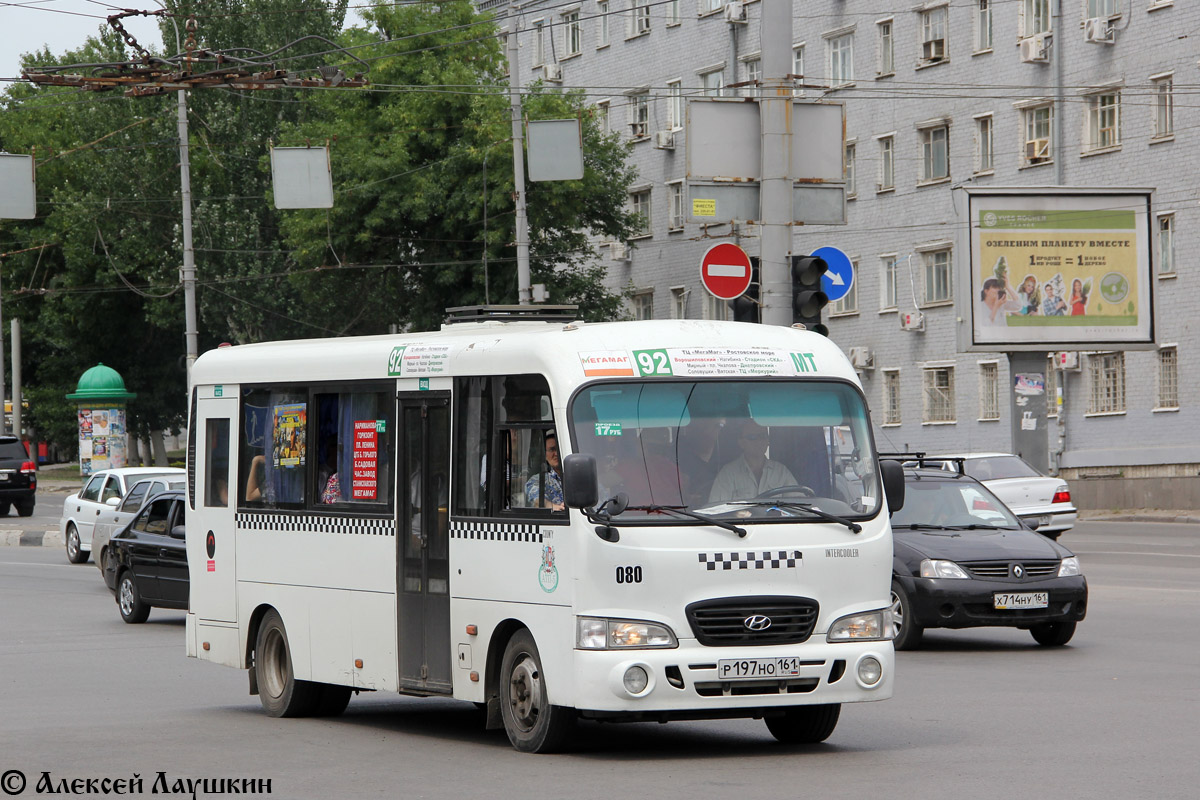 Ростовская область, Hyundai County LWB C09 (ТагАЗ) № 080