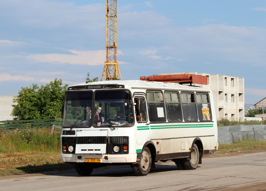 Рязанская область, ПАЗ-3205-110 № СЕ 303 62