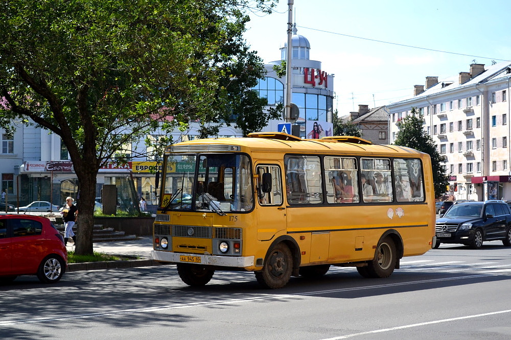 Псковская область, ПАЗ-32053-70 № 175