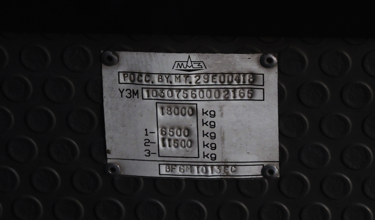 Новосибирская область, МАЗ-103.075 № 4119