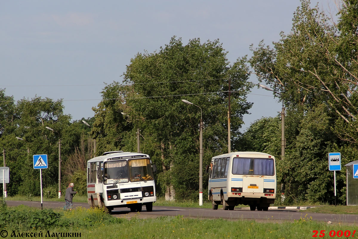 Voronezh region, PAZ-3205-110 Nr. АА 646 36; Voronezh region, PAZ-32054 Nr. АМ 807 36; Voronezh region — Miscellaneous photos