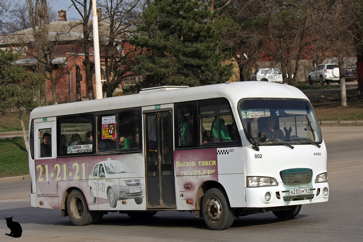 Ростовская область, Hyundai County LWB C09 (ТагАЗ) № 002