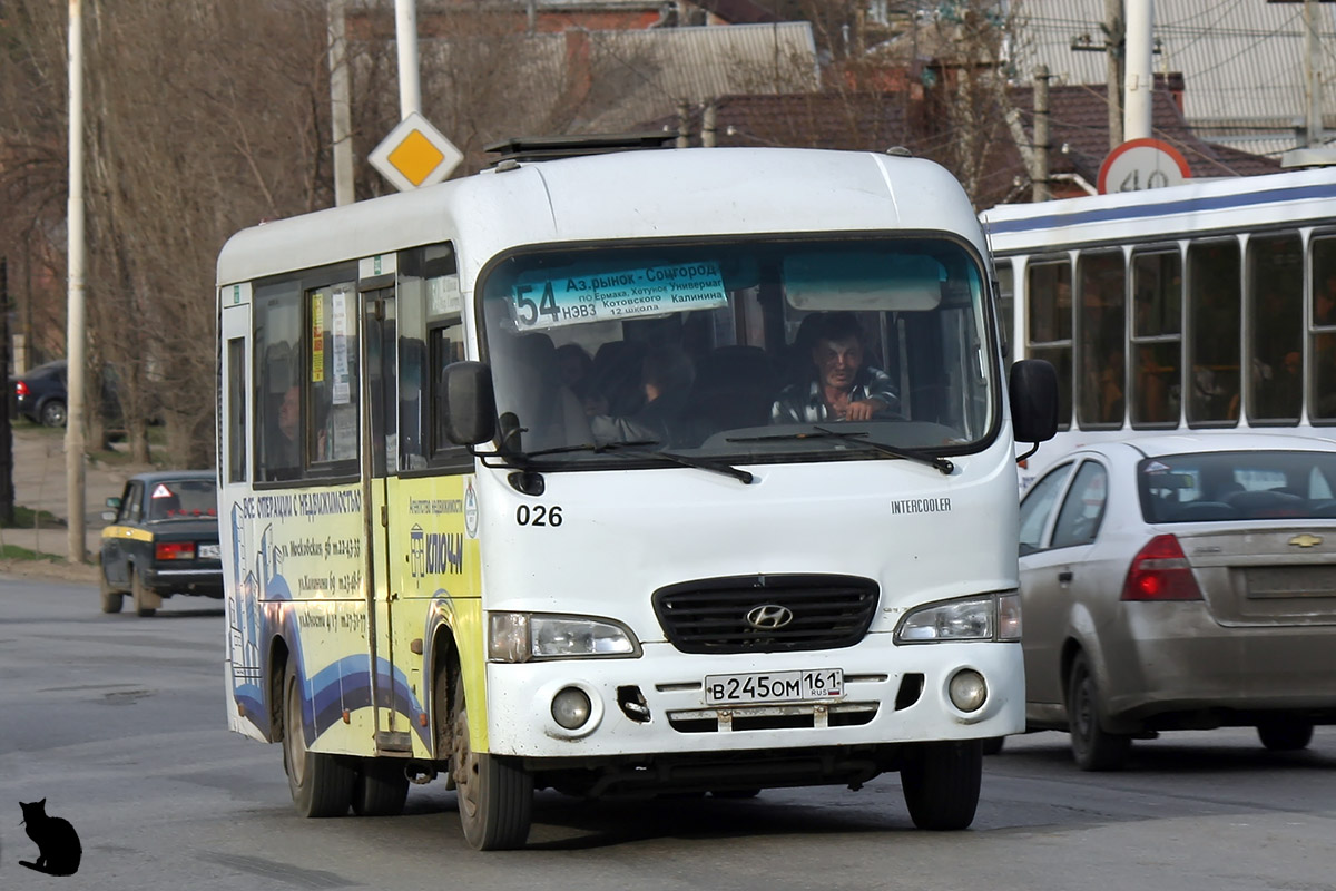 Ростовская область, Hyundai County LWB (ТагАЗ) № 026