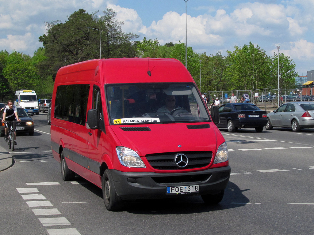 Литва, Mercedes-Benz Sprinter W906 313CDI № 07