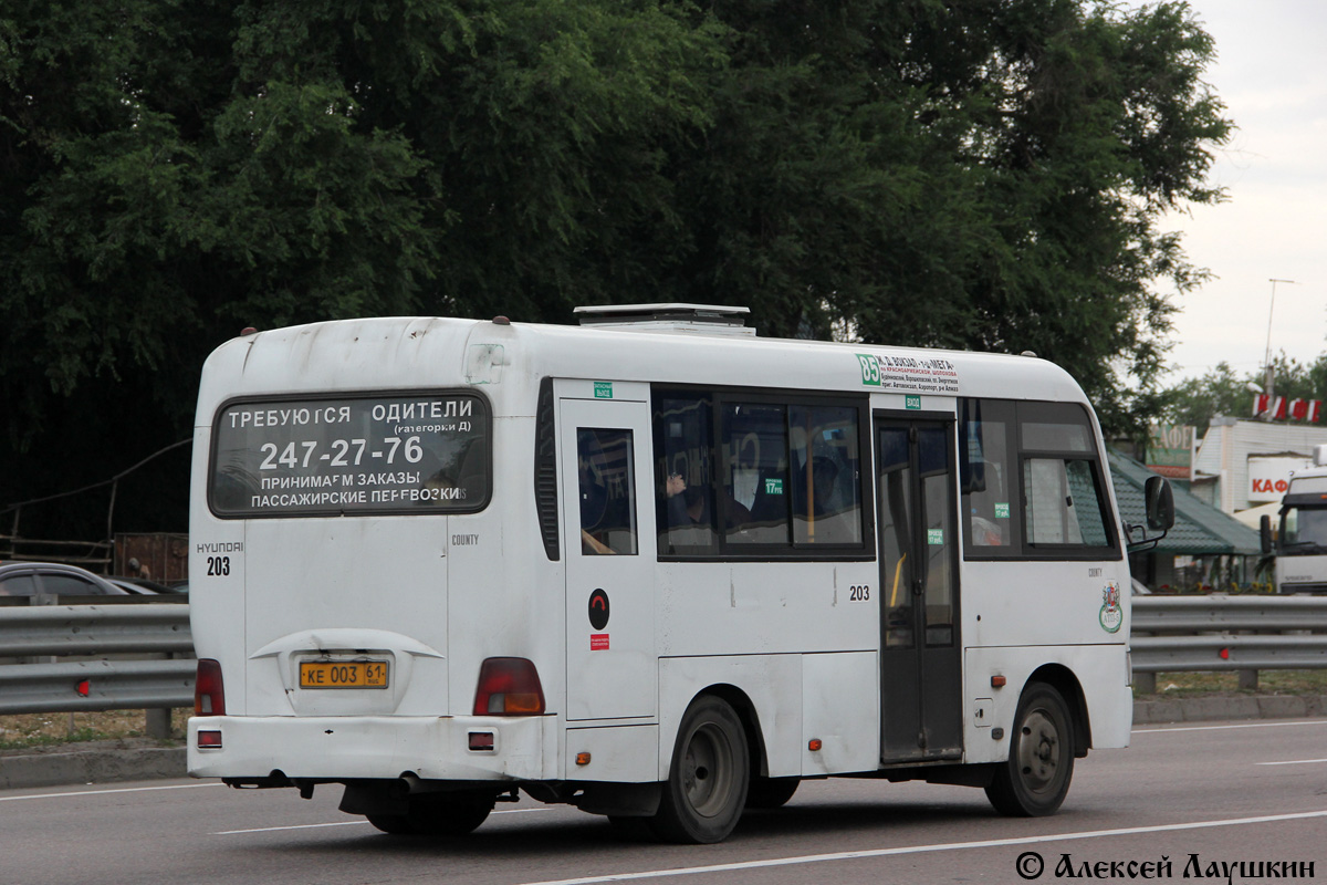 Ростовская область, Hyundai County SWB C08 (ТагАЗ) № 203