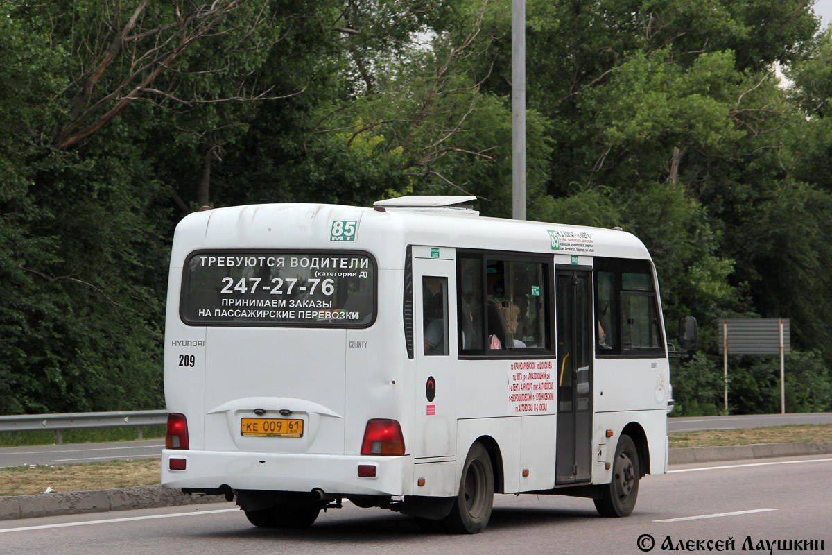 Ростовская область, Hyundai County SWB C08 (ТагАЗ) № 209