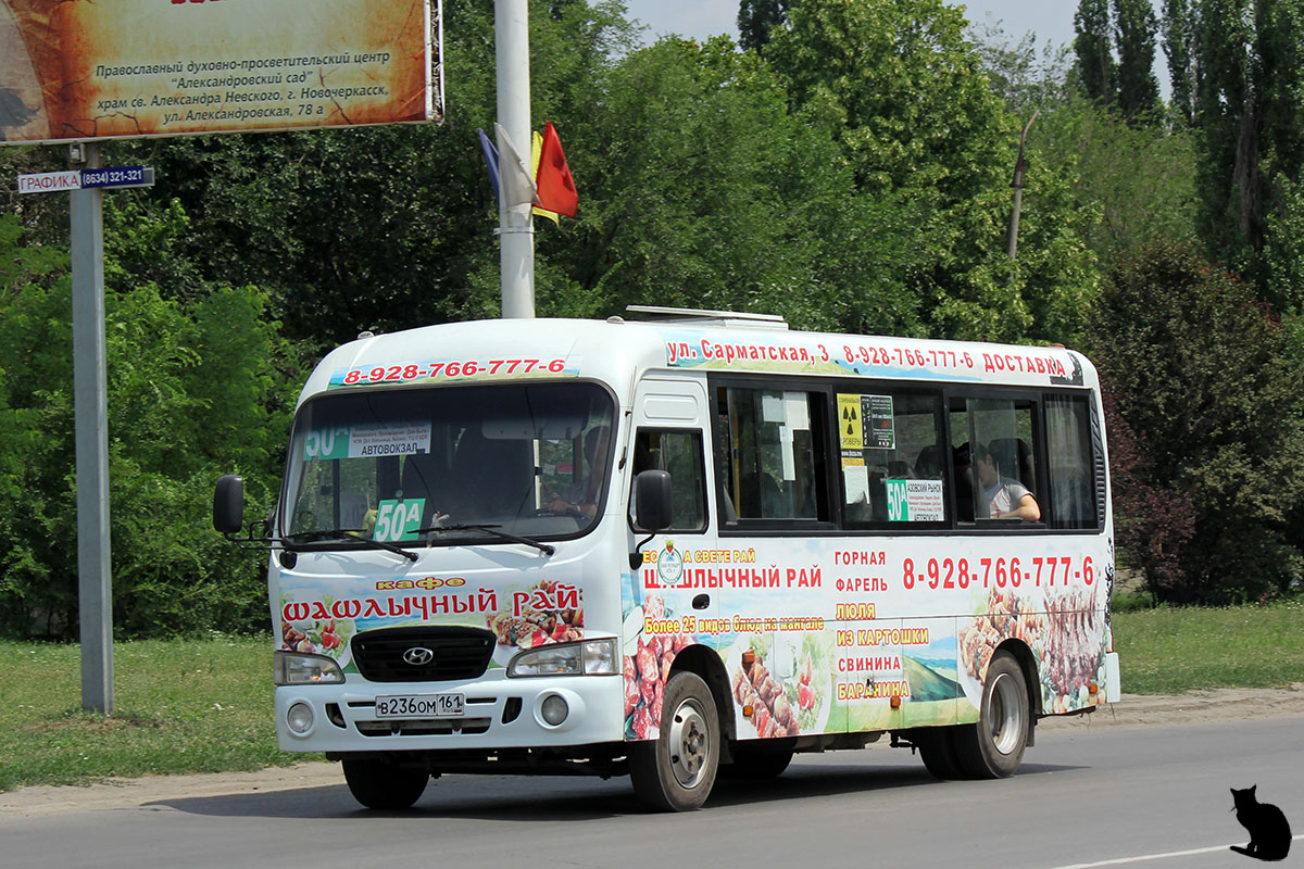 Ростовская область, Hyundai County LWB C11 (ТагАЗ) № В 236 ОМ 161