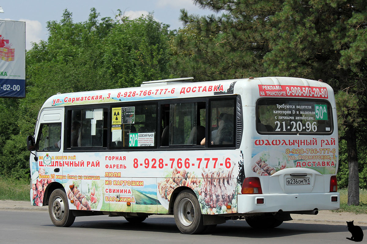 Ростовская область, Hyundai County LWB C11 (ТагАЗ) № В 236 ОМ 161