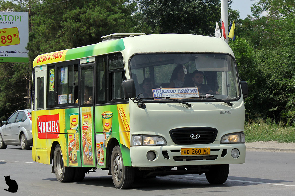 Ростовская область, Hyundai County SWB C08 (РЗГА) № 203