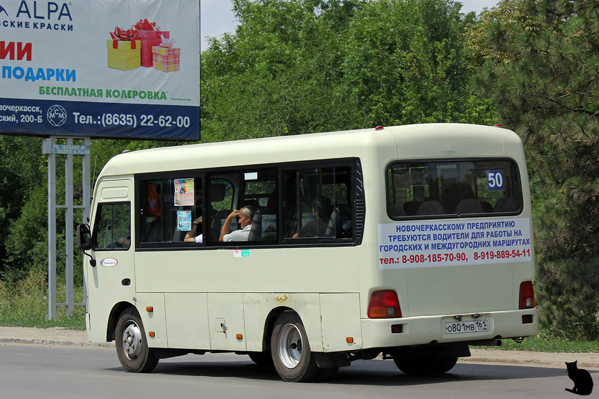 Ростовская область, Hyundai County SWB C08 (РЗГА) № О 801 МВ 161