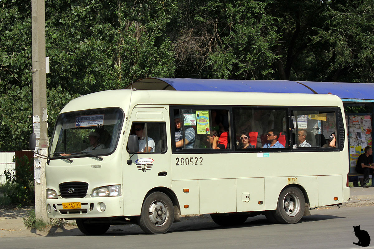 Ростовская область, Hyundai County SWB (РЗГА) № 207