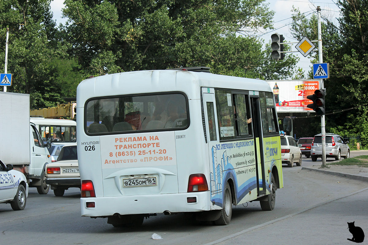 Ростовская область, Hyundai County LWB (ТагАЗ) № 026