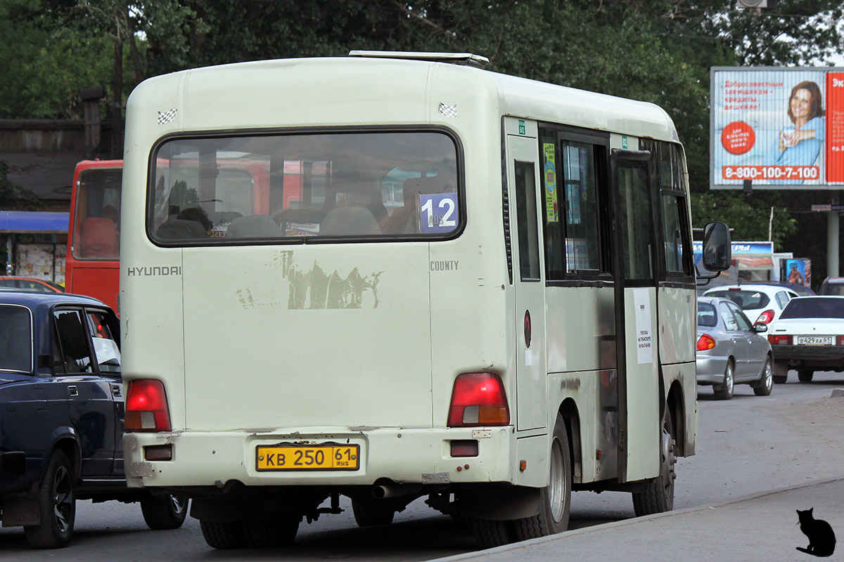 Ростовская область, Hyundai County SWB C08 (РЗГА) № КВ 250 61