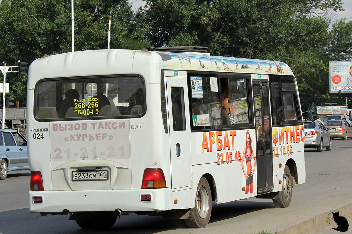 Ростовская область, Hyundai County LWB C11 (ТагАЗ) № 024