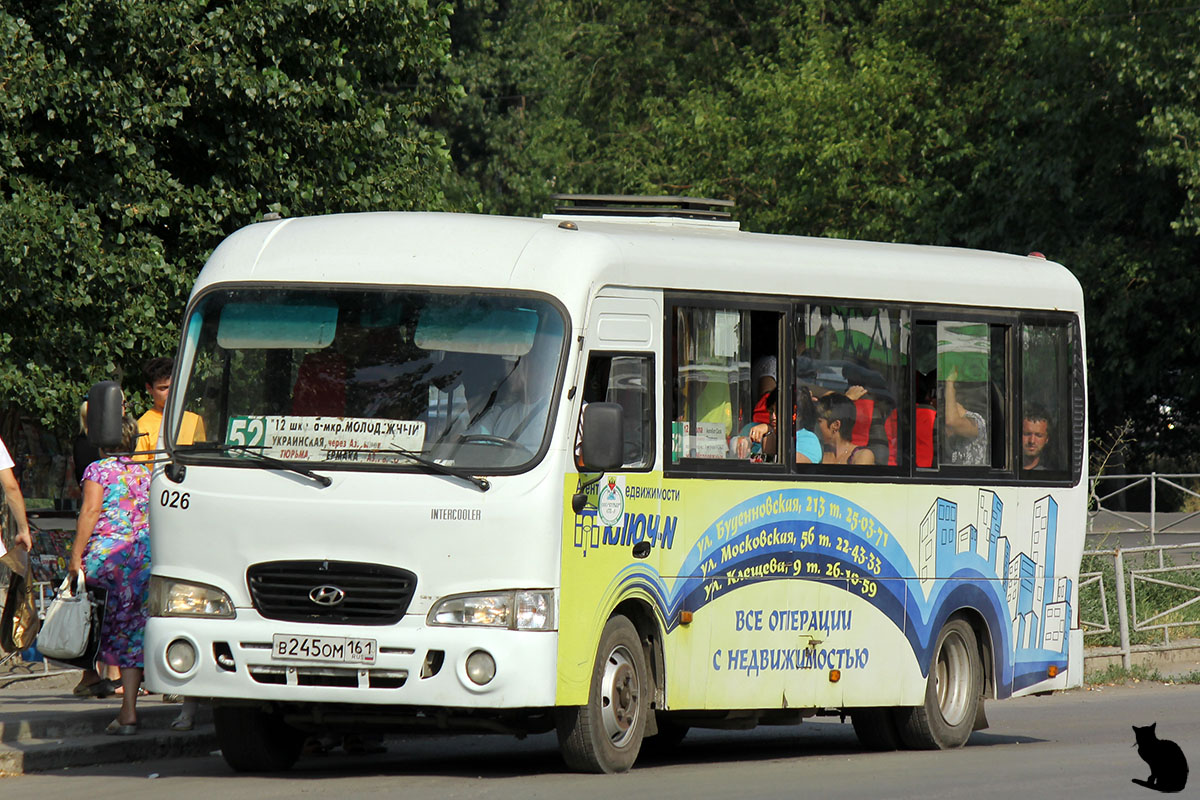 Ростовская область, Hyundai County LWB (ТагАЗ) № 026