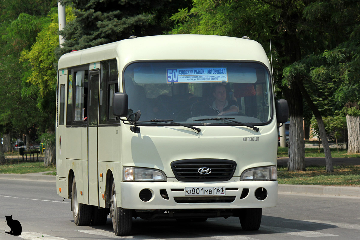 Ростовская область, Hyundai County SWB C08 (РЗГА) № О 801 МВ 161