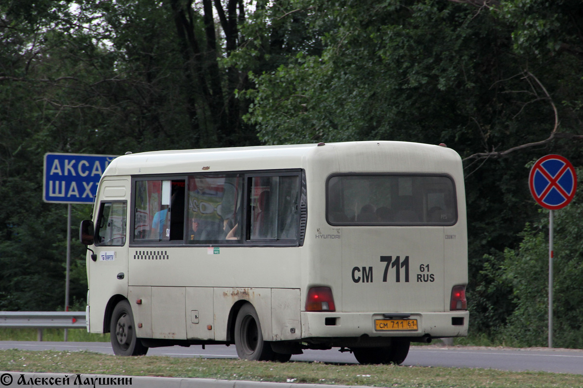 Ростовская область, Hyundai County SWB C08 (РЗГА) № СМ 711 61