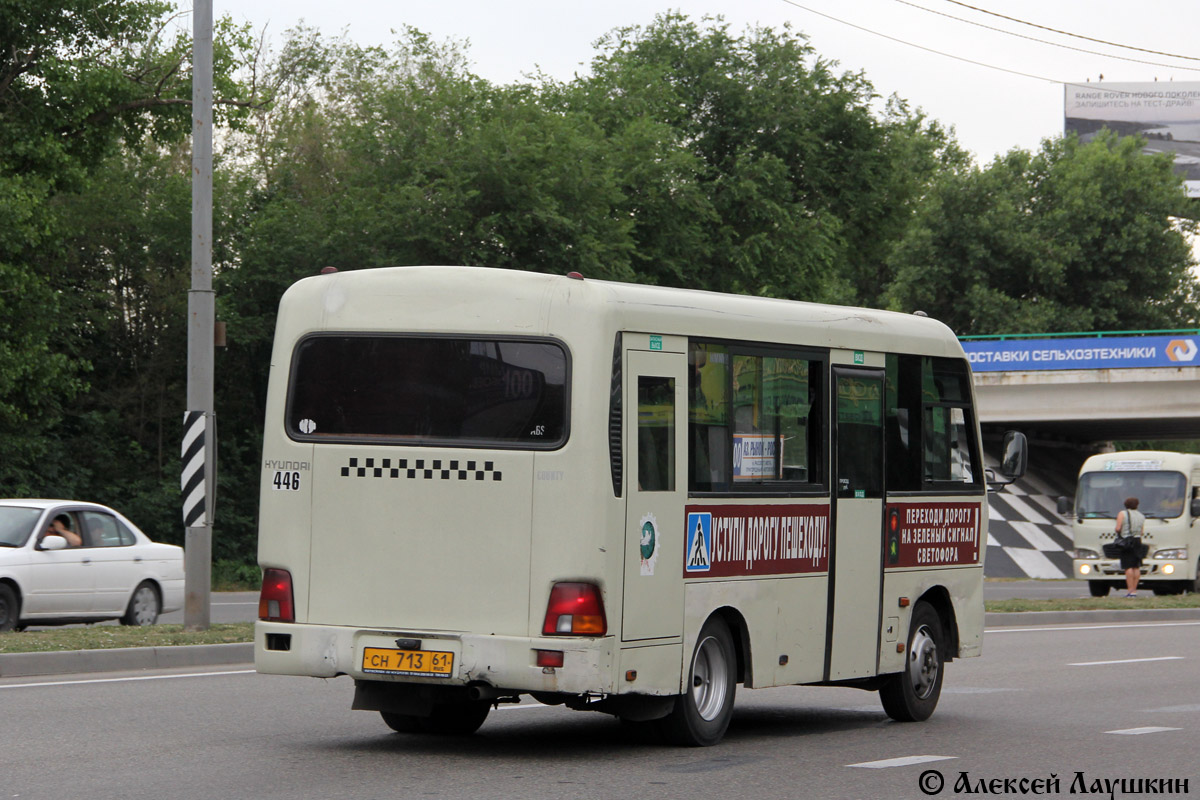 Ростовская область, Hyundai County SWB C08 (РЗГА) № СН 713 61