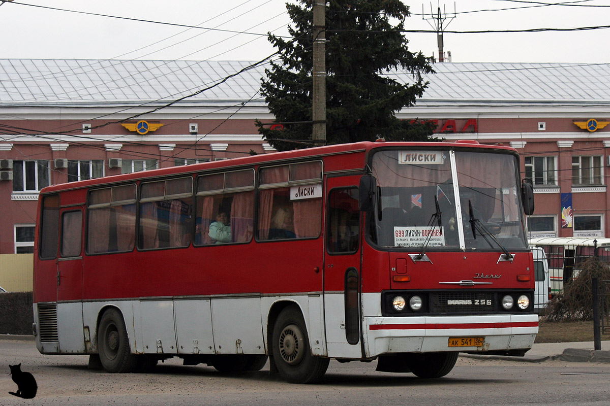 Воронежская область, Ikarus 256.74 № АК 541 36