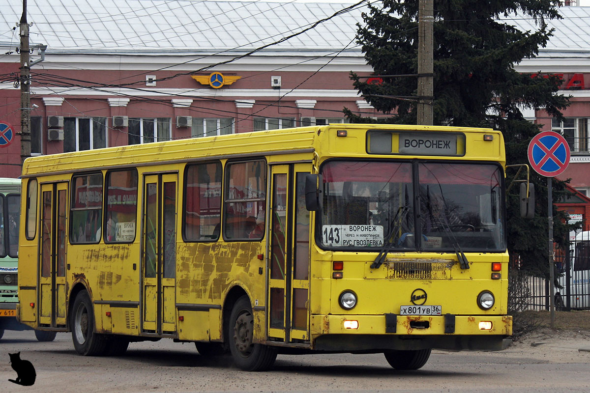 Воронежская область, ЛиАЗ-5256.30 № Х 801 УВ 36