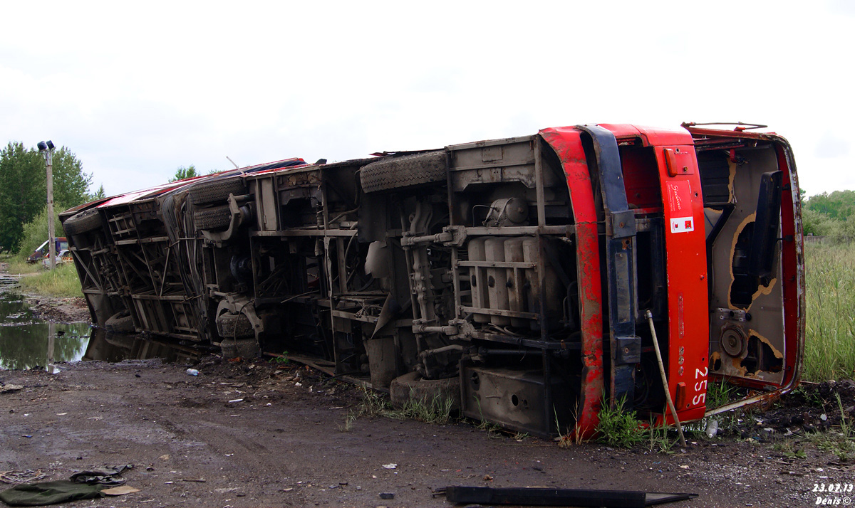 Вологодская область, Ikarus 280.33 № 255