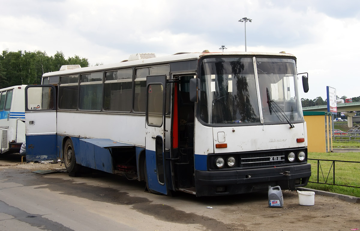 Москва, Ikarus 256.75 № К 046 ТТ 177