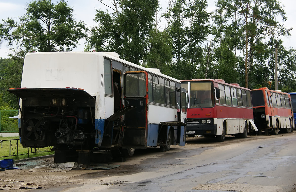 Москва, Ikarus 256.75 № К 046 ТТ 177