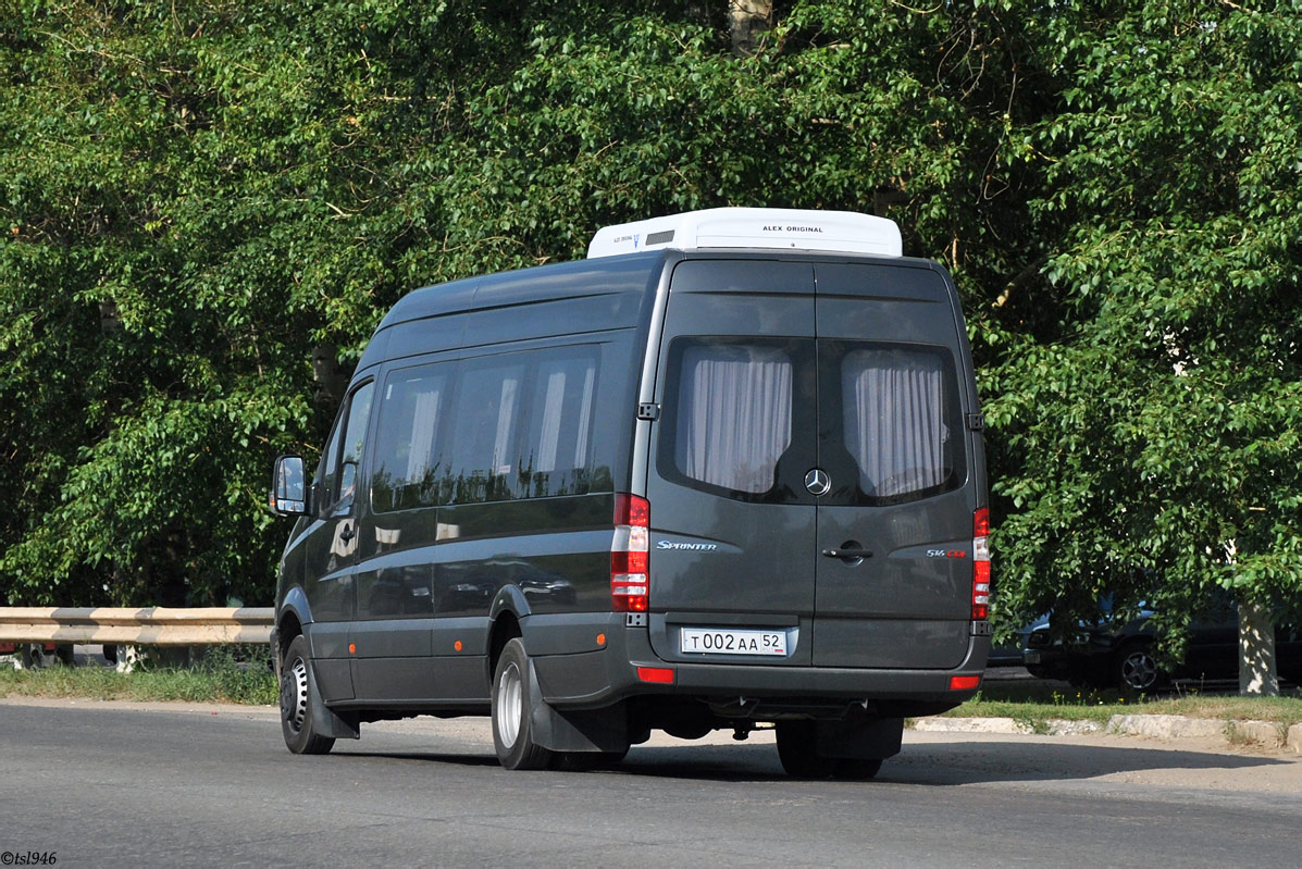 Нижегородская область, Луидор-223602 (MB Sprinter) № Т 002 АА 52