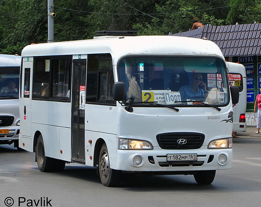 Rostov region, Hyundai County LWB C11 (TagAZ) # Т 182 МР 161