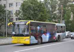 290 КБ