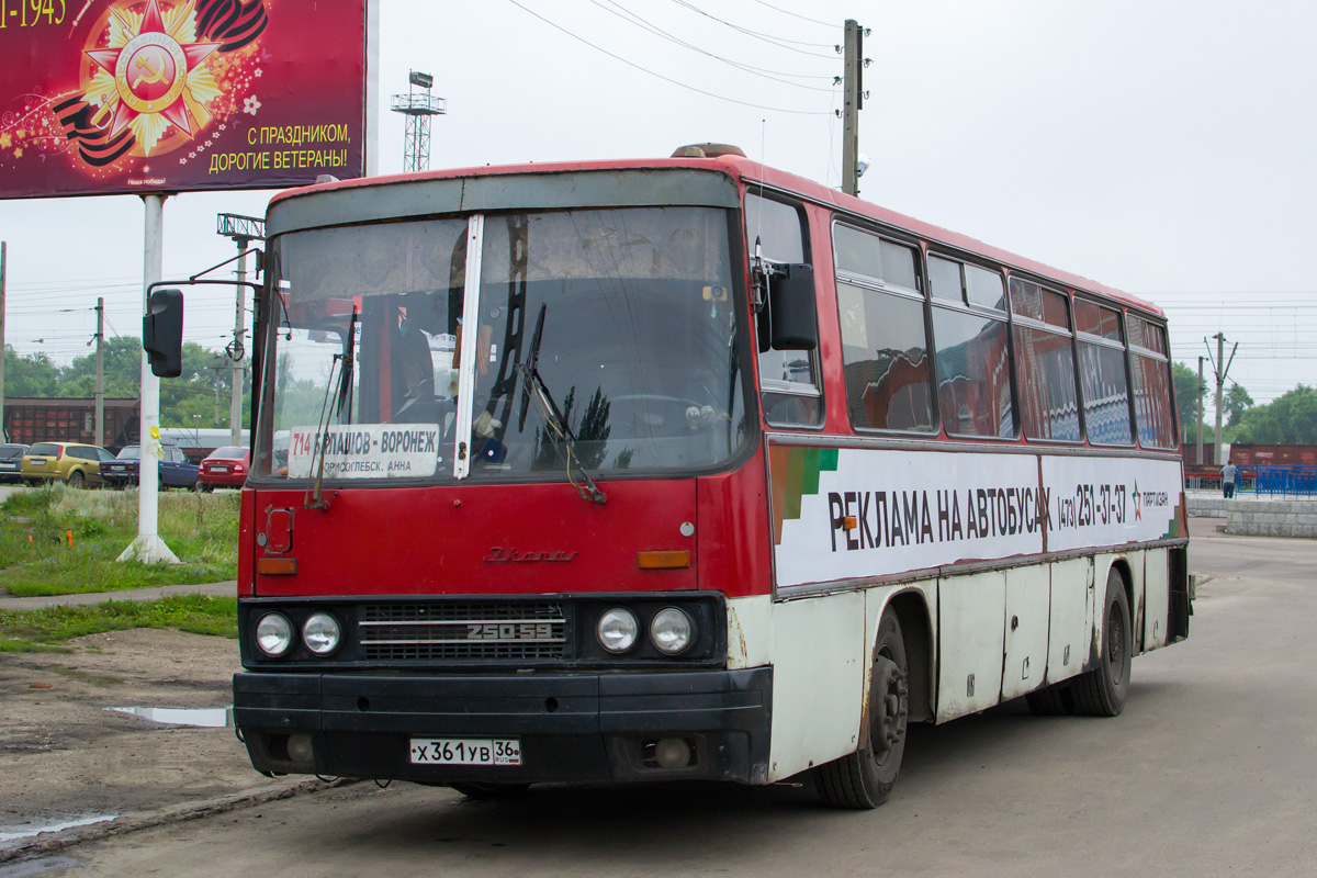 Воронежская область, Ikarus 256 № Х 361 УВ 36 — Фото — Автобусный транспорт