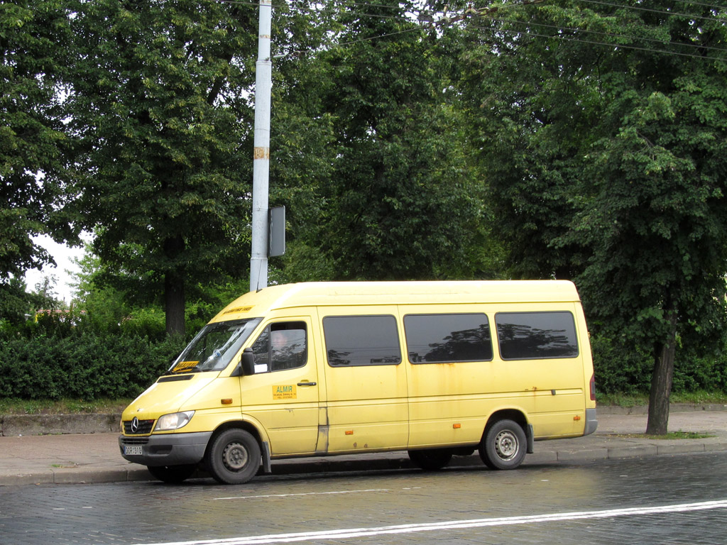 Литва, Mercedes-Benz Sprinter W903 313CDI № DOR 310